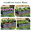 Ensemble de grand lit de jardin 6X3x1ft 2Pcs