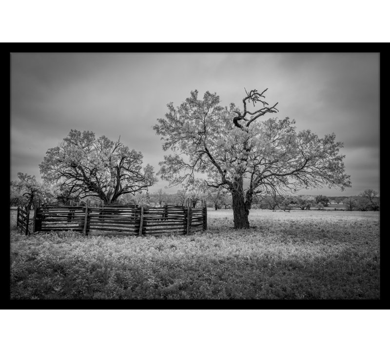 Uvalde County Texas - Estampe numérique sur papier de qualité supérieure avec cadre noir par Gary Swenor