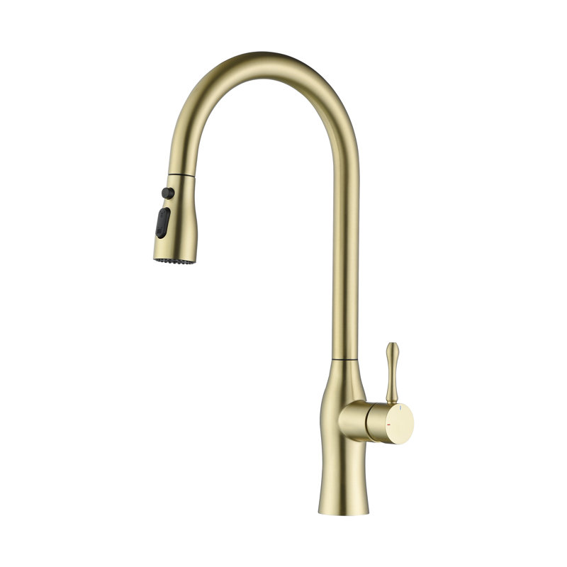 Rainlex Pull Down Kitchen Faucet, Brushed Gold