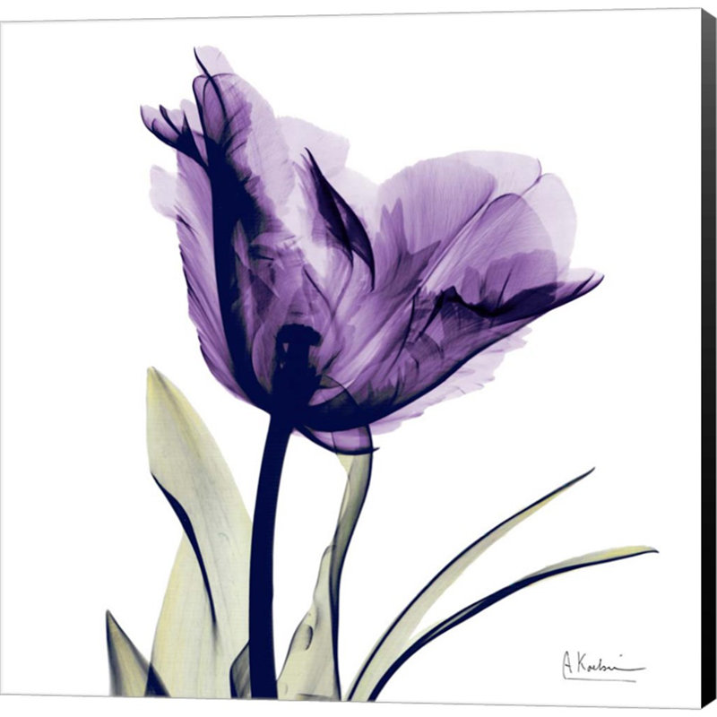 Plants & Flowers Wall Decor on Canvas