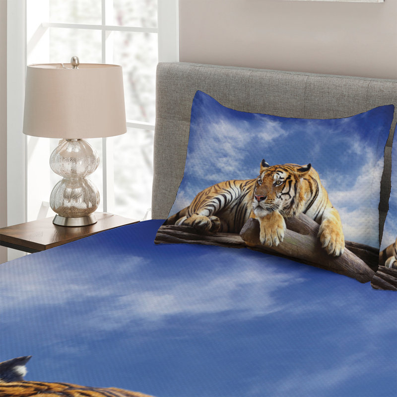 Eclectic Polyester Coverlet, King Bedspread + 2 Shams