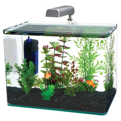 Radius Rectangle Nano Aquarium Kit – Includes LED Light, Internal Filter, and Mat