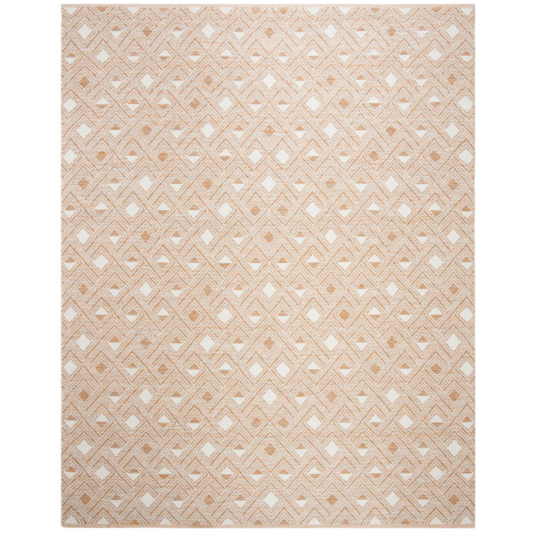 Aila Hand Woven Performance Geometric Rug