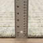 Tapis beige / sauge Bellatrix-1183546660