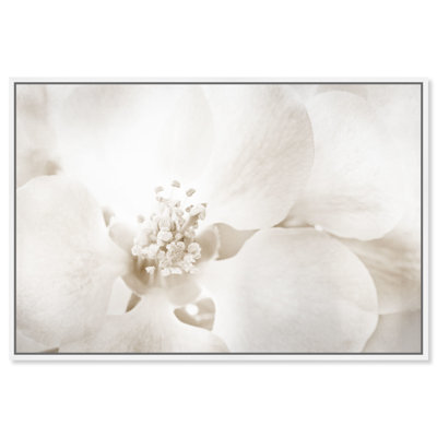 «Floral and Botanical Orchid Love», reproduction d'art graphique sur toile