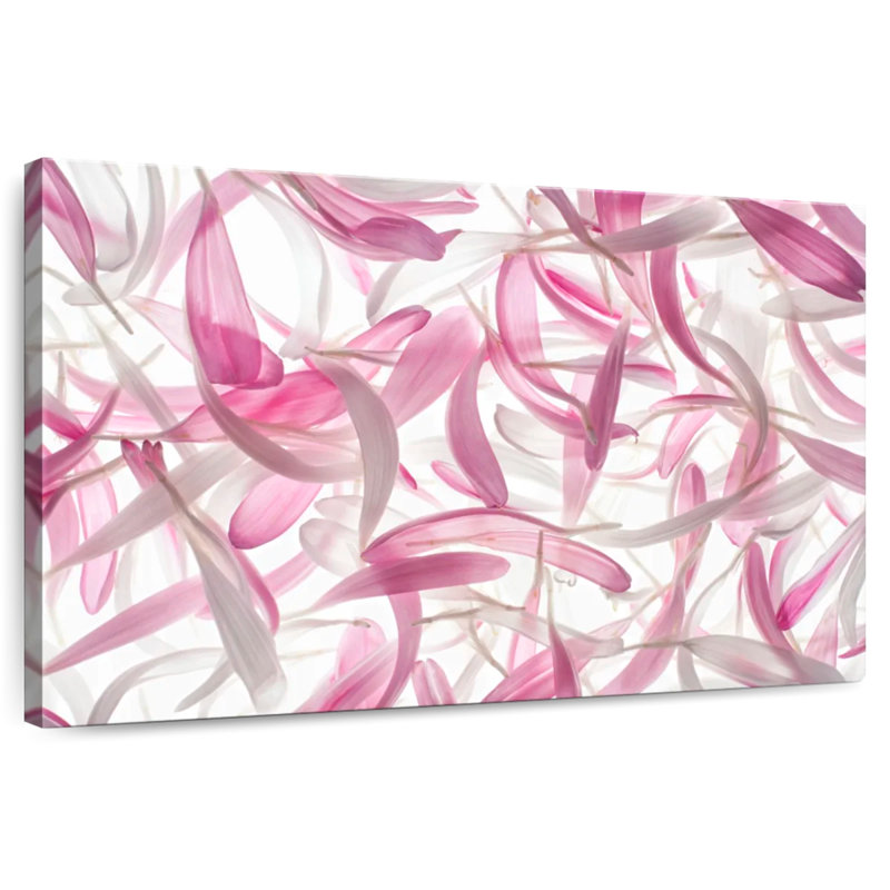 Harnek Aster Petals, 16" H x 24" W