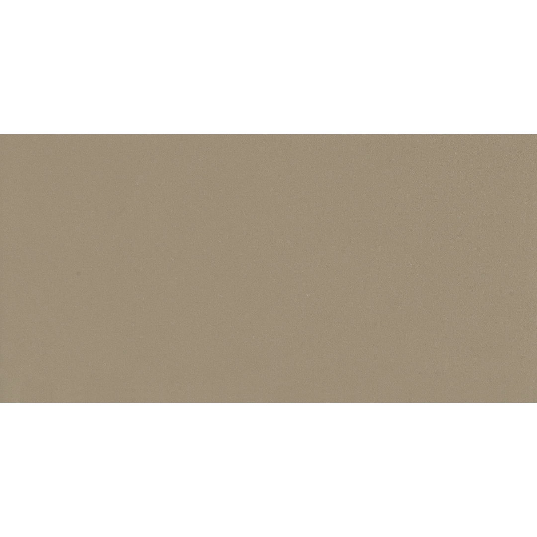 Element 12" x 24" Porcelain Concrete Look Wall & Floor Tile Walkon Tile 