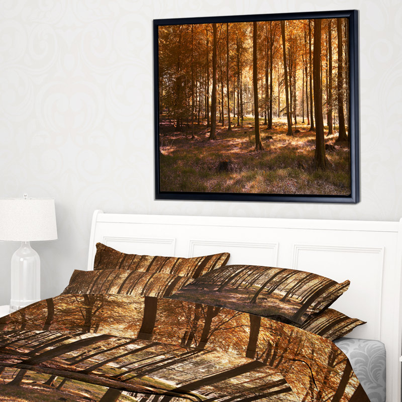 Paysage «Thick Fall Forest with Orange Leaves», reproduction de photo sur toile tendue encadrée, H 30 po x l 40 po x P 1,5 po