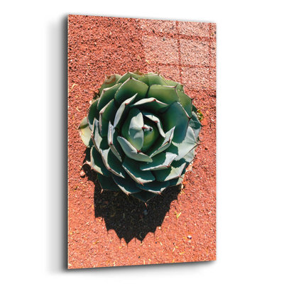 " Utah - Cactus 3 "