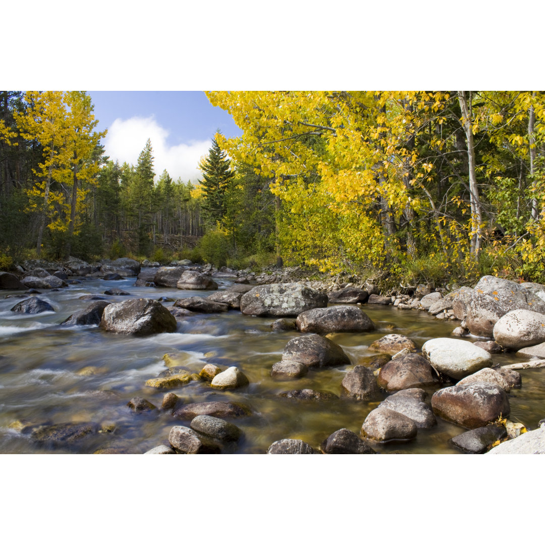 Leinwandbild Beautiful Landscape Of Autumn River