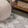 Shirley Tribal Diamond Geometric Gray/Beige Rug