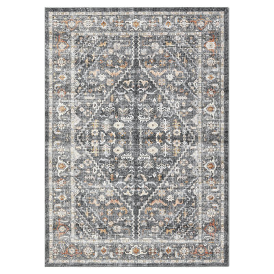 Area Rugs for Living Room, Non-Slip Machine Washable Retro Rug, Low Pile Print Rug for Bedroom Dining Room Home Office