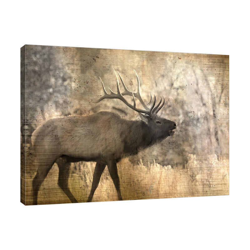 Morning Walk by Kimberly Allen - Wrapped Canvas Print, 61cm H x 81cm W x 4cm D