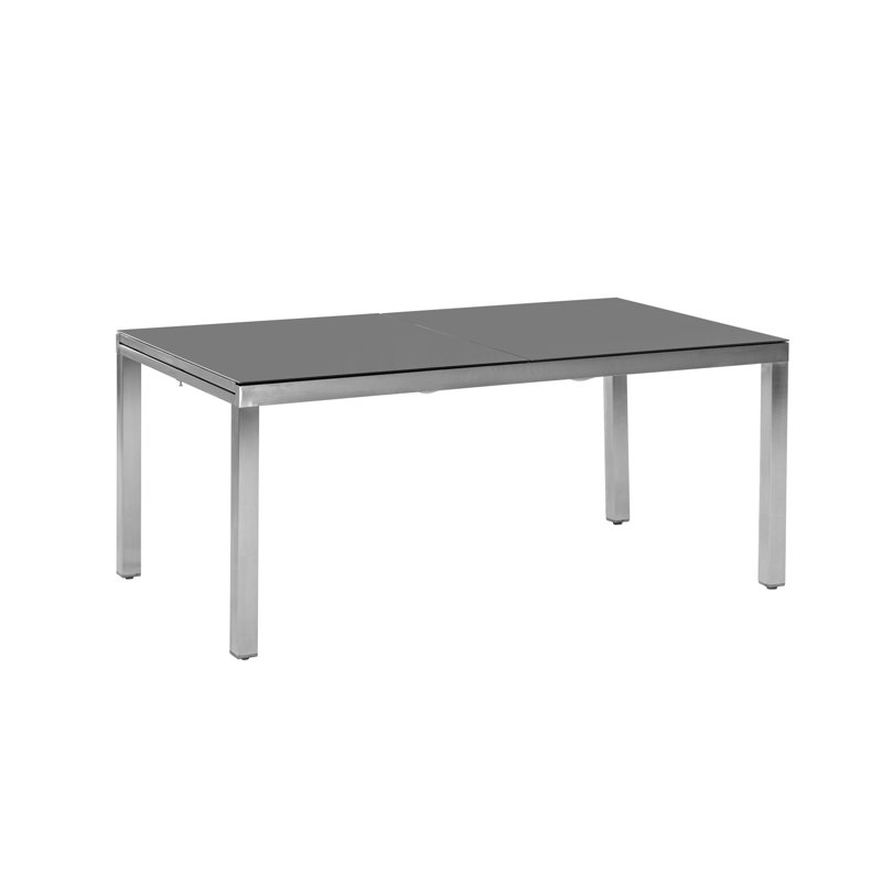Maxime 4 - Person Patio Dining Set with Rectangular Table