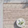 Mecit Indoor / Outdoor Rug