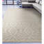 Ikat Area Rug in Beige/Ivory-2134075091