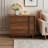 Mid-Century Modern 2-Drawer End Table, Walnut Finish, Vertical Handle Design, Storage Nightstand for Living Room & Bedroom