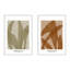 Marine Flora 3 & 4. Set of 2 by Romina Gadler - Canvas Framed Wall Art-1752327594-1752327605