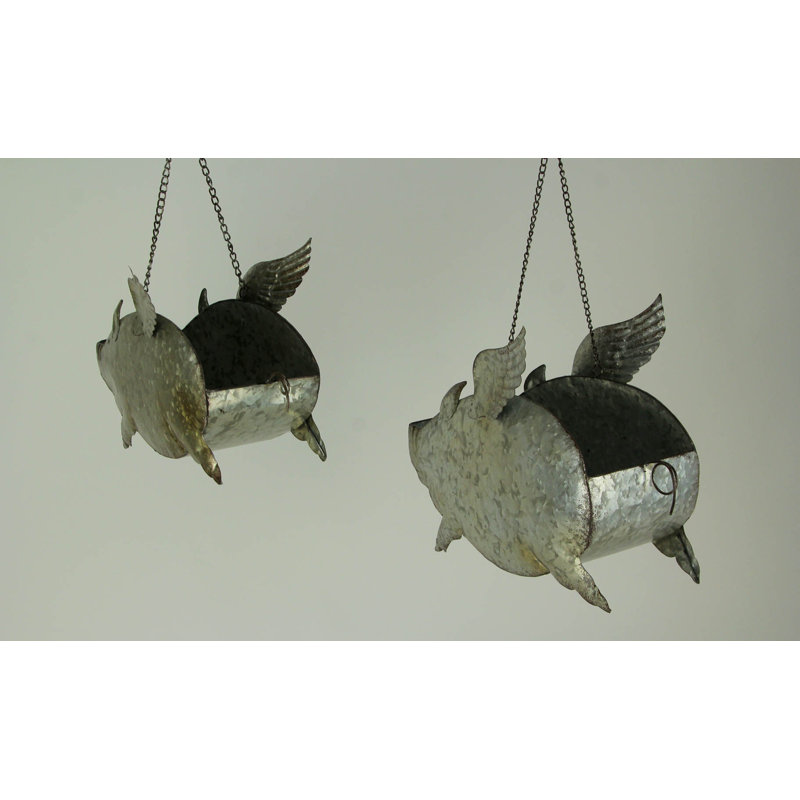 Ensemble de 2 pots à fleurs suspendus Ballymena