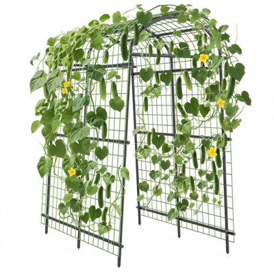 Treillis d'arche de jardin en métal robuste pour plantes grimpantes - Treillis de concombre surélevé pour l'extérieur, support en acier pour tiges de légumes, haricots, pois, vignes, fleurs - noir - l 71 po x l 39 po x H 83 po