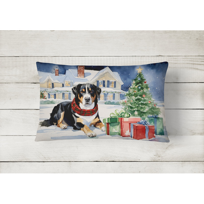 Other/No Pattern Outdoor Throw Pillow