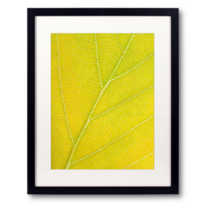 Autumn Leaf by Philippe Monthoux