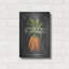 «Fresh Carrots» par House Fenway-1576398255