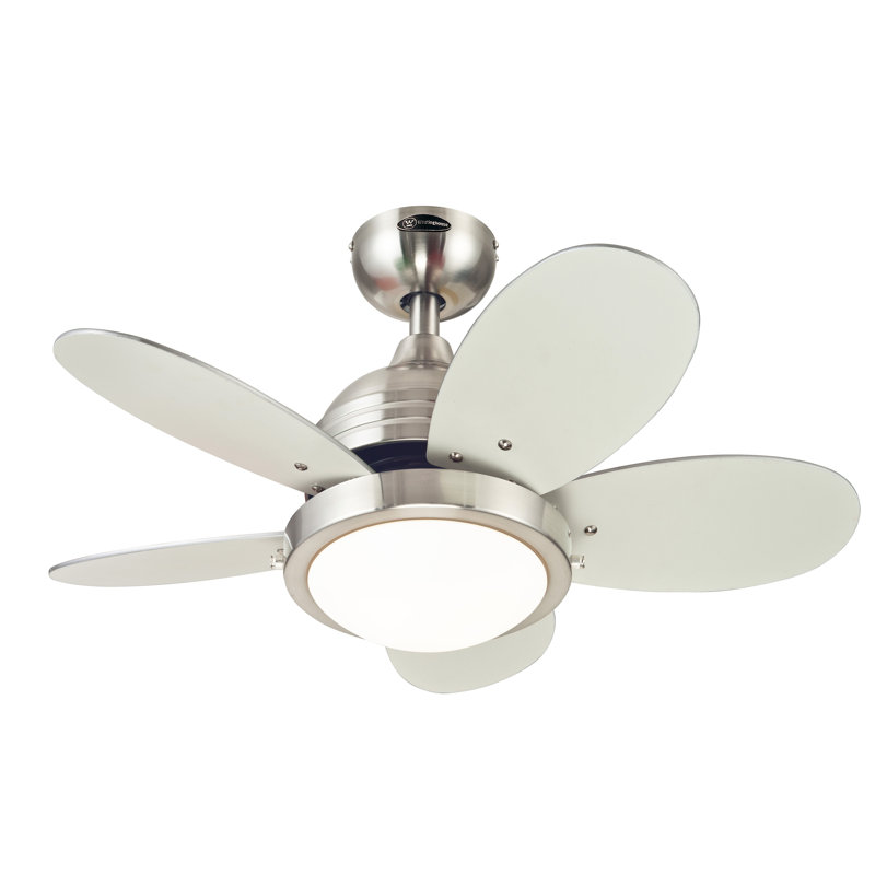 Ventilateur de plafond standard à 5 pales 30 po avec chaîne de traction et ensemble d'éclairage inclus