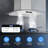 Sangdo Stainless Steel 400 CFM Range Hood