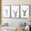 Young Buck S croquis I - reproduction sur mesure encadrée de qualité supérieure - 3 pièces-362042011-362042007