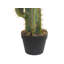 78cm Faux Cactus Plant in Pot