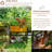 Madicyn Raised Garden Bed-639382734