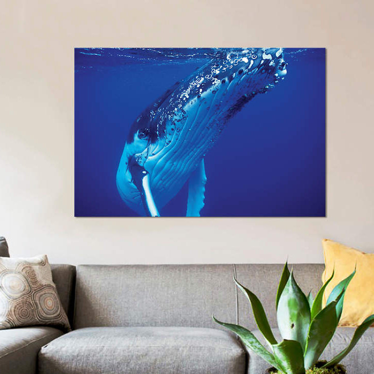 « baleine baleine, tonga îles, south pacific », reproduction de photo sur toile, H 18 po x l 26 po x P 1,5 po, Toile tendue