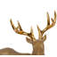 Figurine de cerf debout Kole