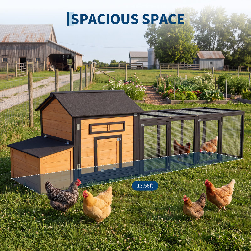 Chicken Coop