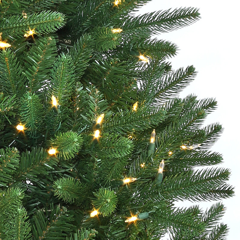 Sapin royal à DEL, 6.5'