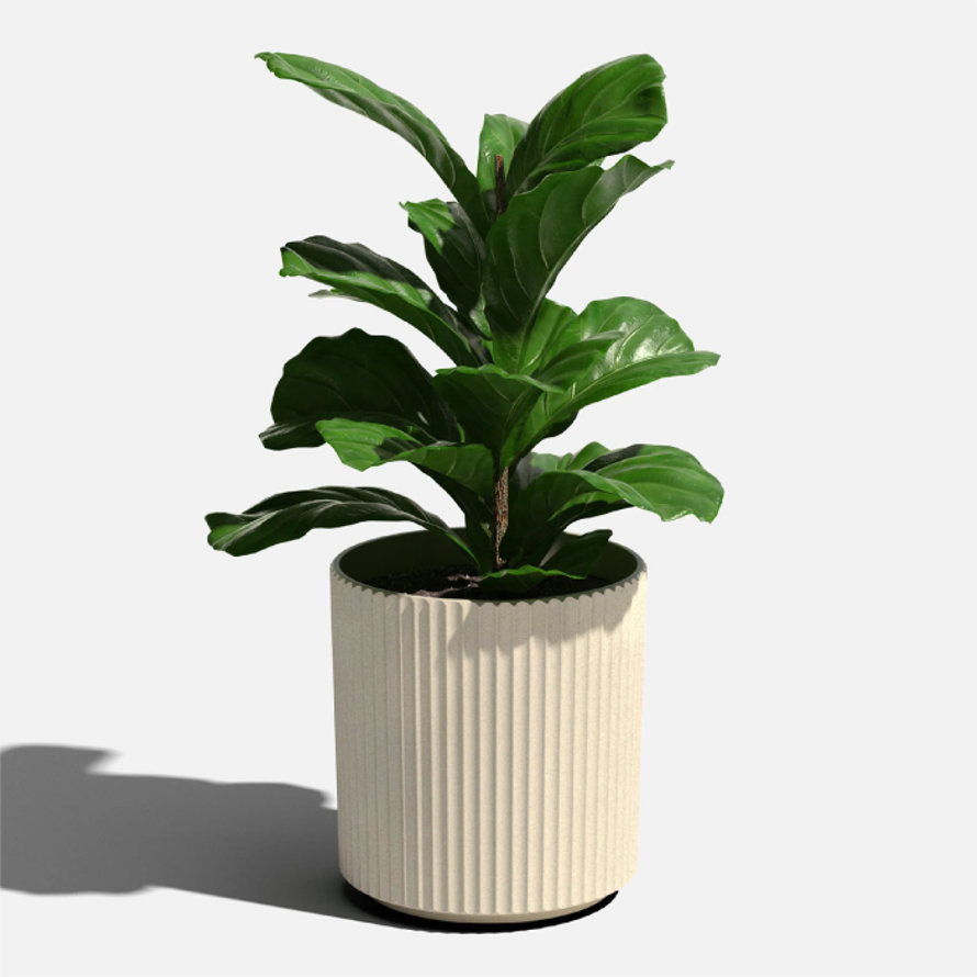 Decor