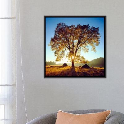 «Majestic Black Oak Under an Autumn Sunrise», reproduction de photo sur toile