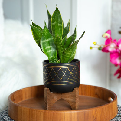Pot à fleurs en céramique Angelyka