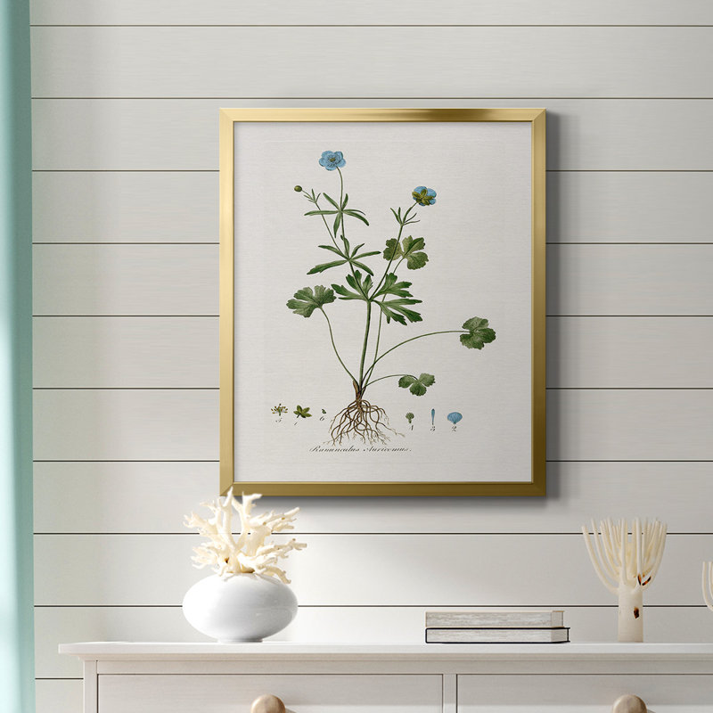 Toile encadrée de qualité supérieure Buttercup Study - prête à être accrochée, Cadre doré, H 20 po x l 16 po