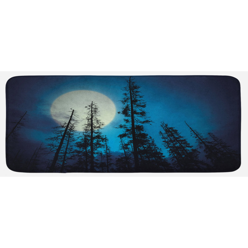 Tapis de cuisine en haut de gamme et bleu noir grand angle pour une vue à angle bas de la forêt mystérieux effrayant éclairé