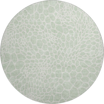 Premium Machine Washable Prisco Mint Rug