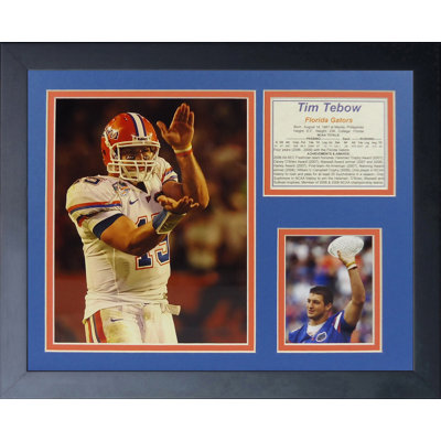 Single Picture Frame Memorabilia