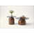 Walnut est en rupture de stock