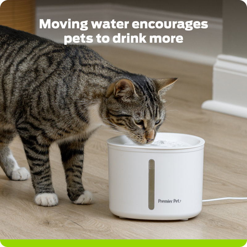 Premier Pet 54 oz Pet Fountain, 54 Oz