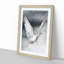 Flying Dove - Framed Print-55576395-55576396