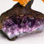 Small Genuine Citrine Clustered Gemstone Tree on Amethyst Matrix (The Money Tree)