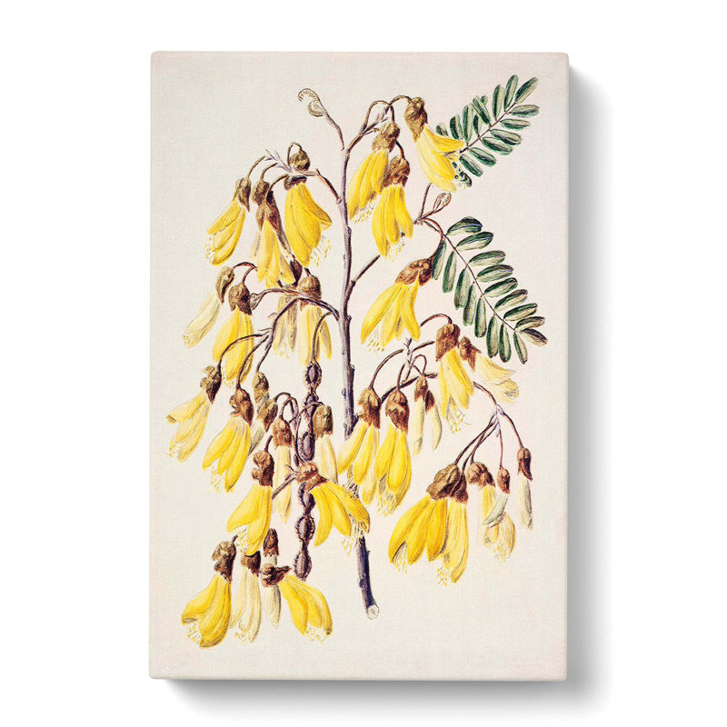 Kowhai Flowers by Sarah Featon - Wrapped Canvas Print, 76cm H x 50cm W x 3cm D