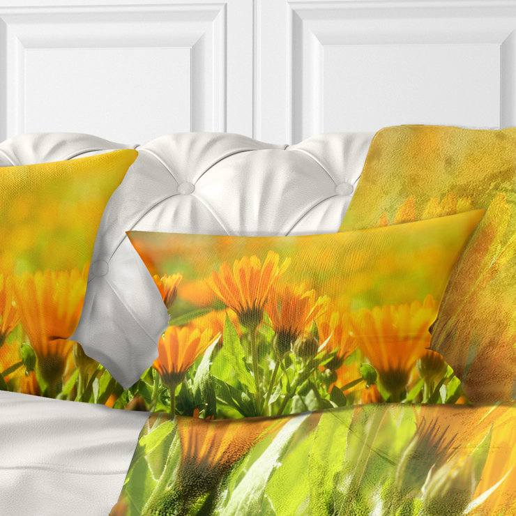Coussin orange à motif de fleurs de souci orange au soleil