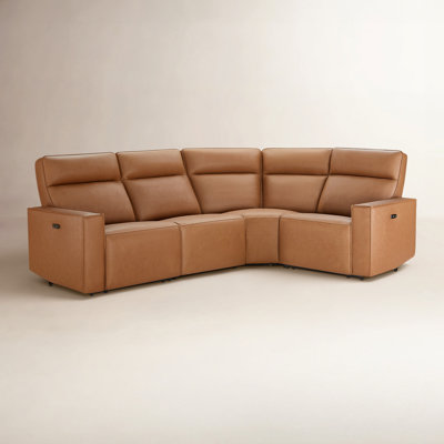 Phillipsburg Top Grain Leather Reclining Sectional